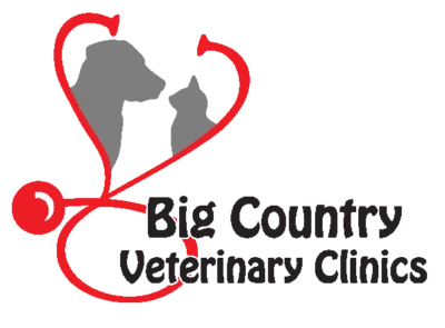 Big Country Veterinary Clinics